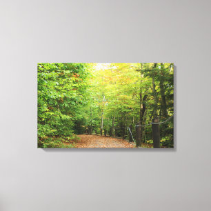 Molas de Canvas de floresta