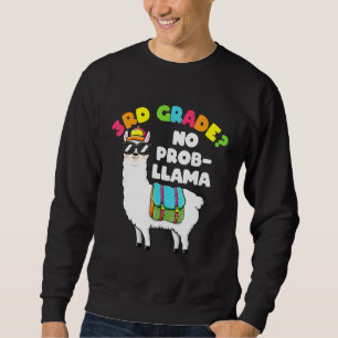 Moletom 3º Grau Sem Prob Lama Llama Roupa Primeiro Dia de