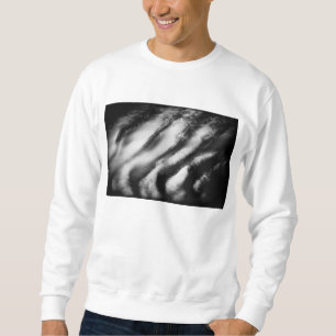 Moletom abutres caídos