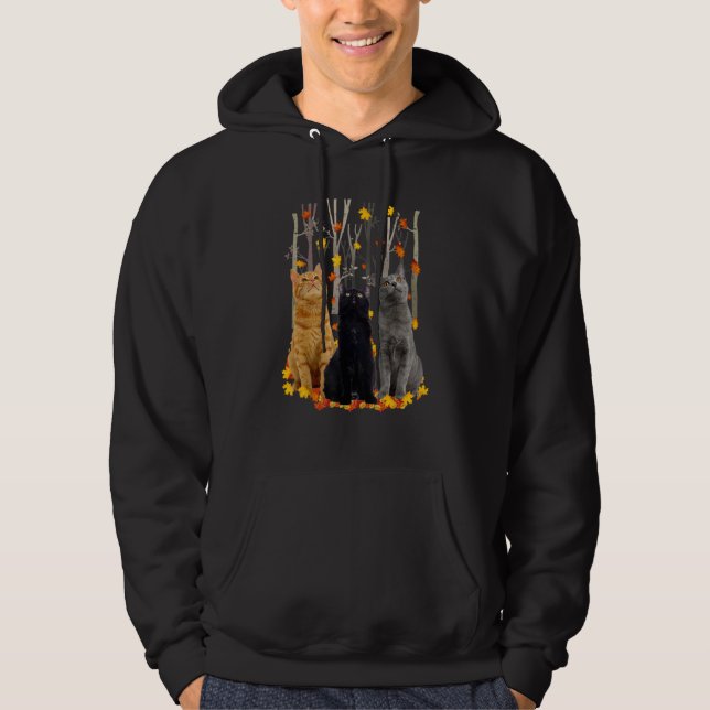 Moletom Alô Autumn Maple Cats Leaf Fall Heart Cat (Frente)