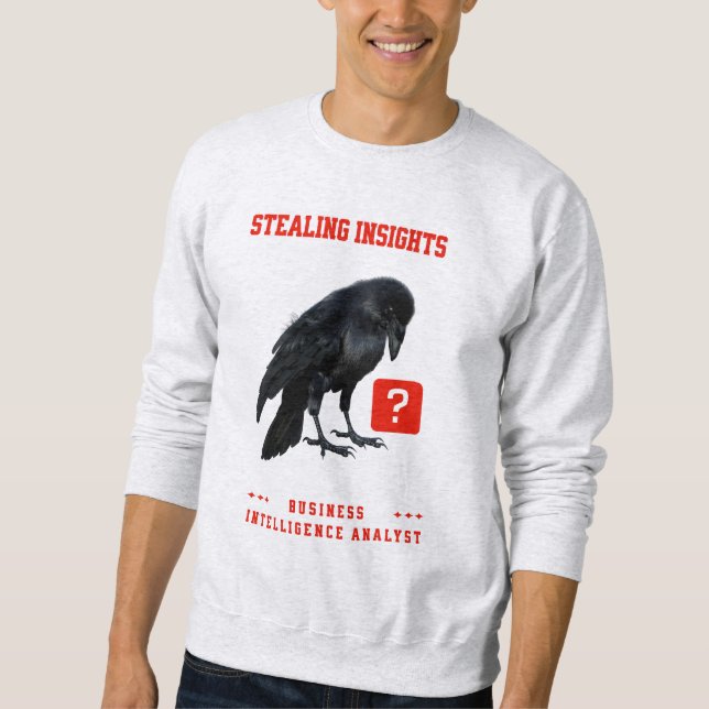 Moletom Analista de Inteligência de Negócios da Crow (Frente)