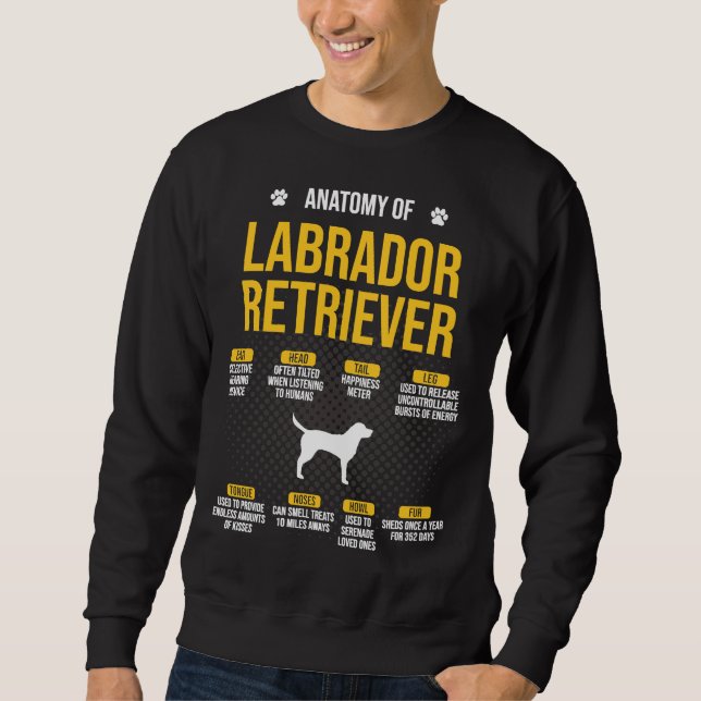 Moletom Anatomia Do Cão De Labrador Retriever 164 (Frente)
