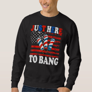 Moletom Apenas Aqui Para Bater Fireworks America Flag 4th