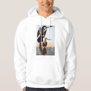 Moletom Audubon: Anhinga