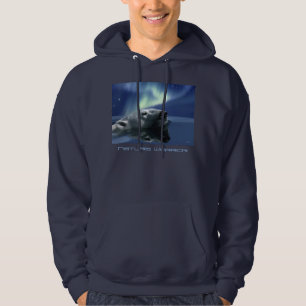 Moletom AURORA que SONHA o Hoodie do urso polar