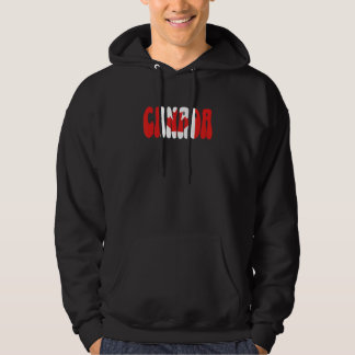 Moletom Bandeira do Canadá Souvenir de Férias Canadense Am