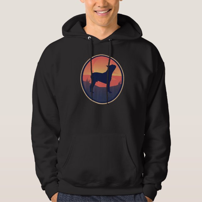 Moletom Boston Terrier Dog Retro 11 (Frente)