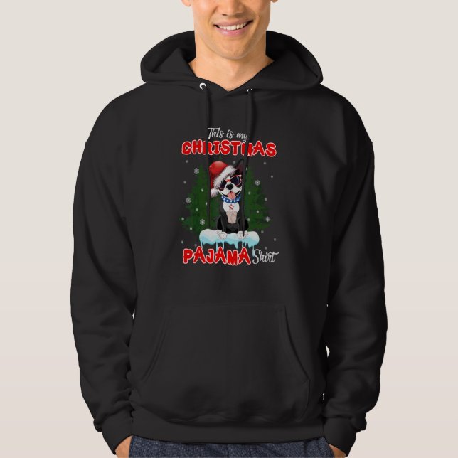 Moletom Boston Terrier Usa Óculos De Sol E Chapéu De Papai (Frente)