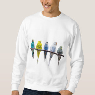 Moletom Budgies