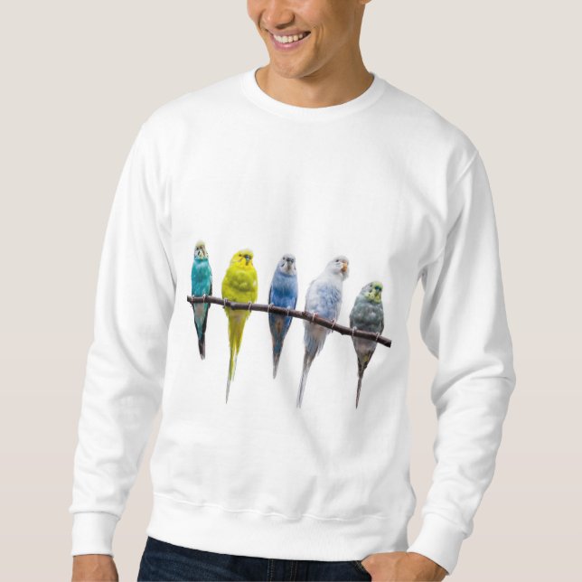 Moletom Budgies (Frente)