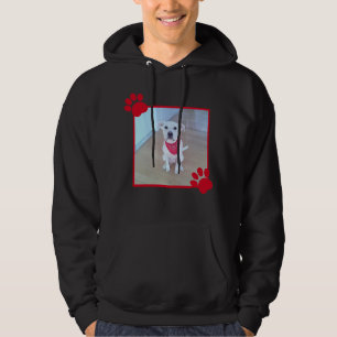 Moletom Cachorro Bonito Uma Foto Red Paws Engraçado