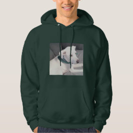 Moletom Cachorro Branco Bonito Vestindo Scarf Verde