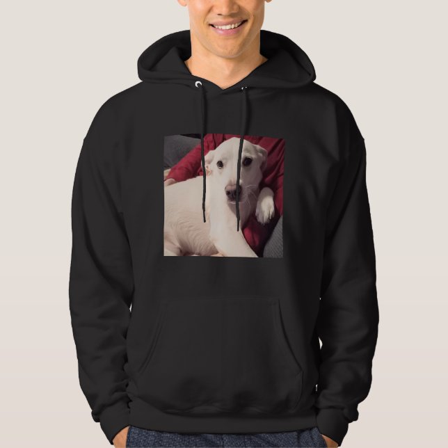 Moletom Cachorro Cachorro com Pai (Frente)