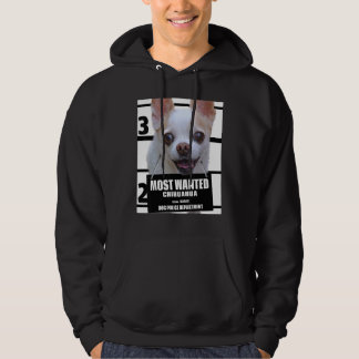 Moletom Cachorro Chihuahua Cute Mais Desejado Tee B