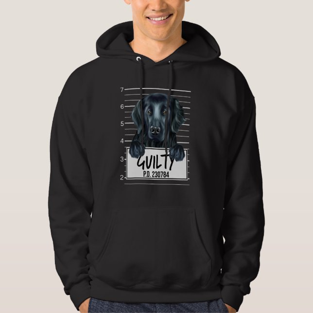 Moletom Cachorro Culpado Mugshot Retriever de Capa Lisa (Frente)