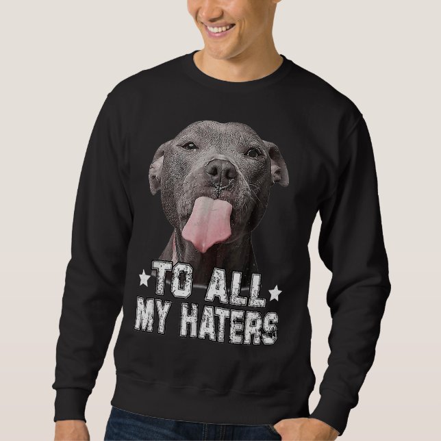 Moletom Cachorro De Pitbull Para Todos Os Meus Odiadores E (Frente)