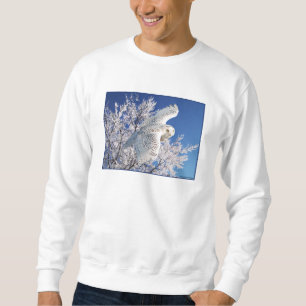Moletom "Camisola da coruja nevado"