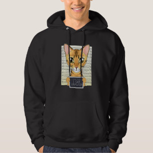 Moletom Caro Pai Posso Explicar Que Bengala Pai De Gato I 