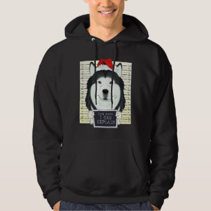 Moletom Caros Papais noeis Eu Posso Explicar O Natal Do Hu