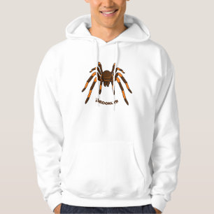 Moletom Cartoon de aranha-do-marrom e-laranja-acastanhado