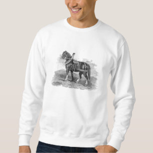 Moletom Cavalos de Clydesdale do carro do cavalo dos 1800s