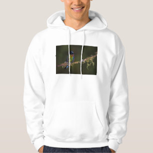 Moletom Colibri