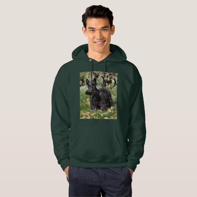 Moletom Com Capuz Ach! (Frente Completa)