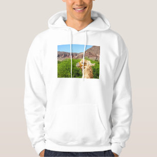 Moletom Com Capuz Alpaca perto de Salta, Argentina