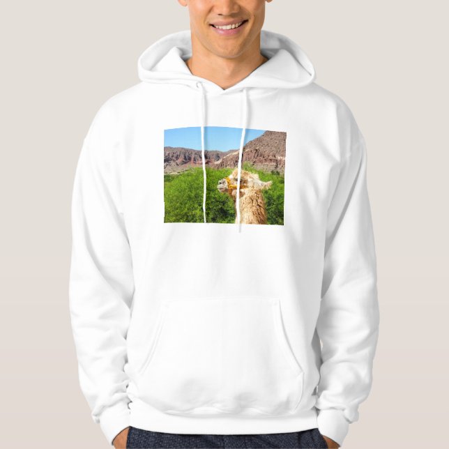 Moletom Com Capuz Alpaca perto de Salta, Argentina (Frente)