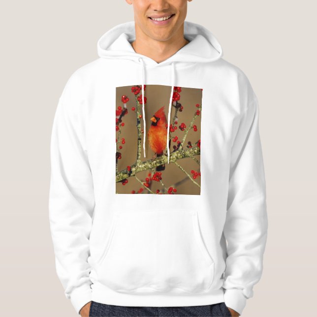Moletom Com Capuz Cardinal-vermelho macho empoleirado, IL (Frente)