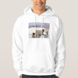 Moletom Com Capuz Carneiros no inverno