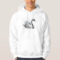 Cisne
