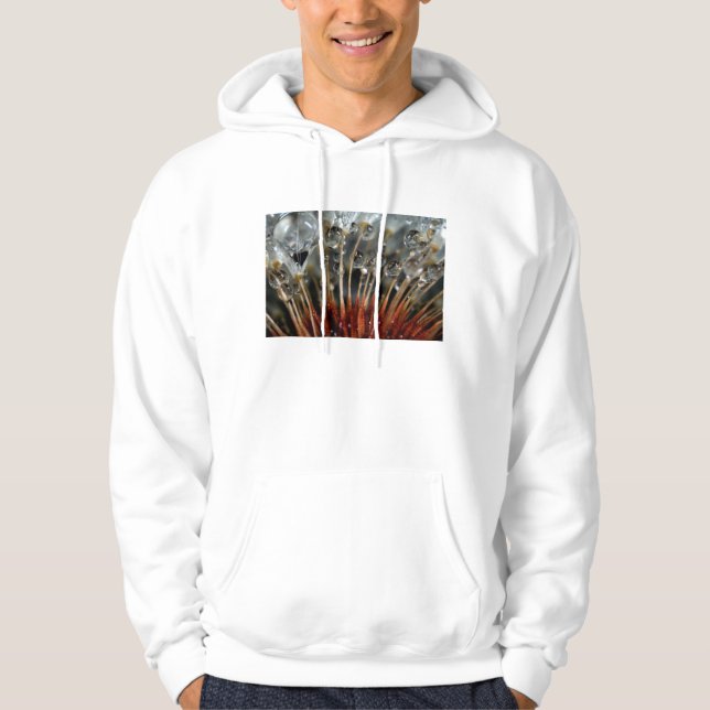 Moletom Com Capuz Dente-de-leão e gotas de água, CA (Frente)