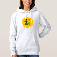 Moletom com capuz feminino cinza SUN  AFRICA  26