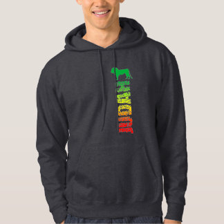 Moletom Com Capuz Leão de Judah