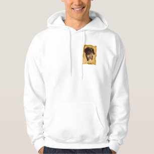 Moletom Com Capuz Lion Africano Belo Gato Gato Selvagem Hoodie