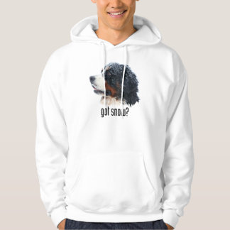 Moletom Com Capuz neve obtida? Hoodie de Bernese