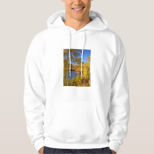 Moletom Com Capuz Paisagem de árvore de outono, Maine
