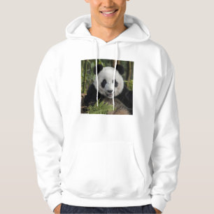 Moletom Com Capuz Panda jovem feliz, China