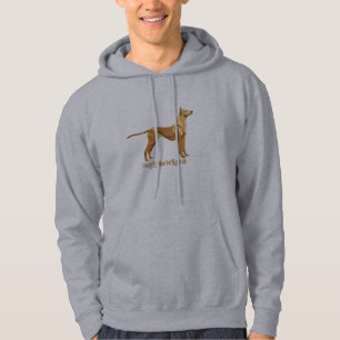 MOLETOM COM CAPUZ PHARAOH HOUND