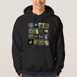 Moletom Com Capuz Praça de retalhos de fotos - Pássaros