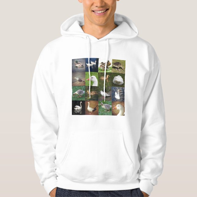 Moletom Com Capuz Praça de retalhos de fotos - Pássaros (Frente)