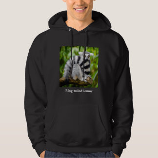 Moletom Com Capuz Ring-tailed lemur