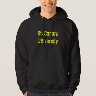 Moletom Com Capuz St. Hoodie da universidade da notícia falsa