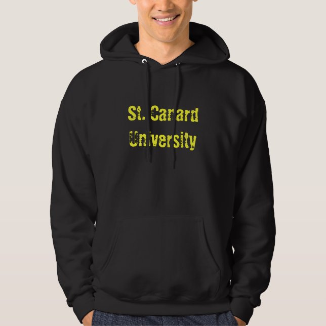 Moletom Com Capuz St. Hoodie da universidade da notícia falsa (Frente)
