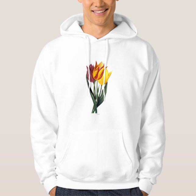 Moletom Com Capuz Tulipa (Tulipa Gesneriana) (Frente)