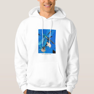 Moletom Congelado em vôo: www.AriesArtist.com