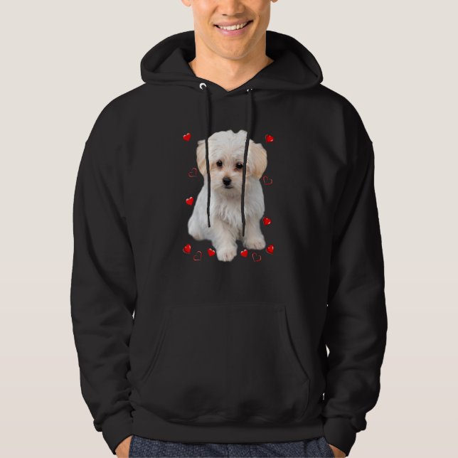 Moletom Corações de Cachorrinho Maltês (Frente)