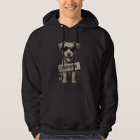 Cute Yorkshire Terrier Owner Dog Sunglass Animal