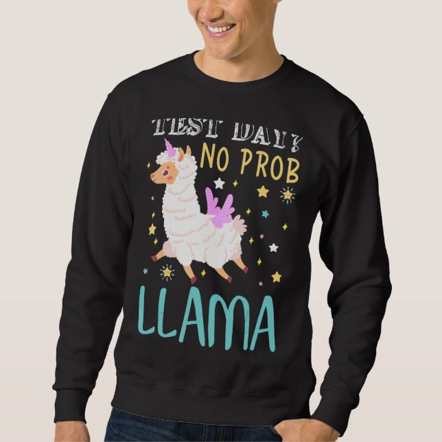 Moletom Dia de Teste Sem Teste Prob Llama Professor Teste  (Frente)